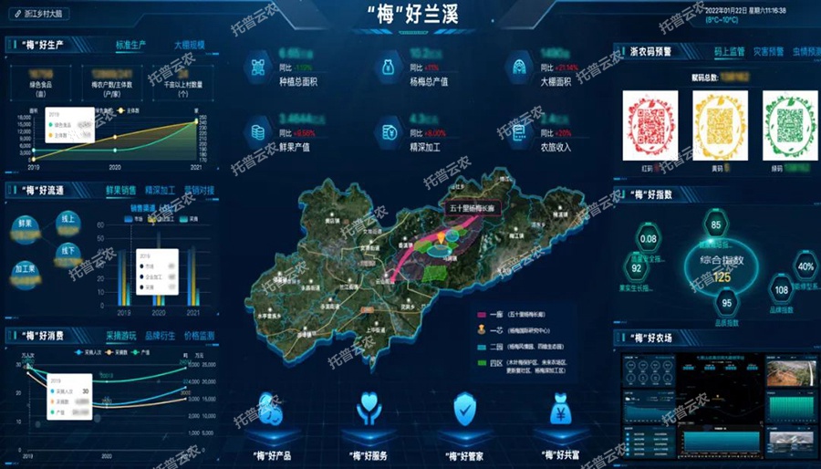 楊梅產業大腦建設方案