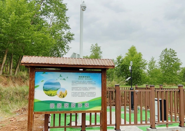 走進國家級油菜夏繁基地，感受科技賦能蓬勃動力